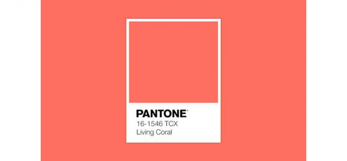 Living Coral – Instytut Pantone wybrał kolor roku 2019!