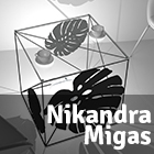 Nikandra Migas 6 1