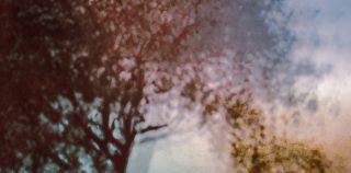 Image 1 ARolinska School of Creative Photography<br>TOP PHOTOGRAPHY SCHOOLS<br>in the WORLD<br>See program